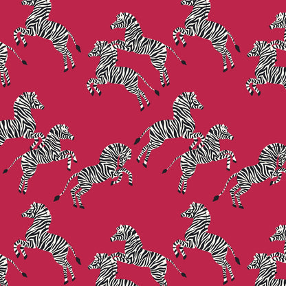 Just Zebras - Zebras - Maria Galybina - Cloud 9 Fabrics - Poplin - Simplifi Fabric