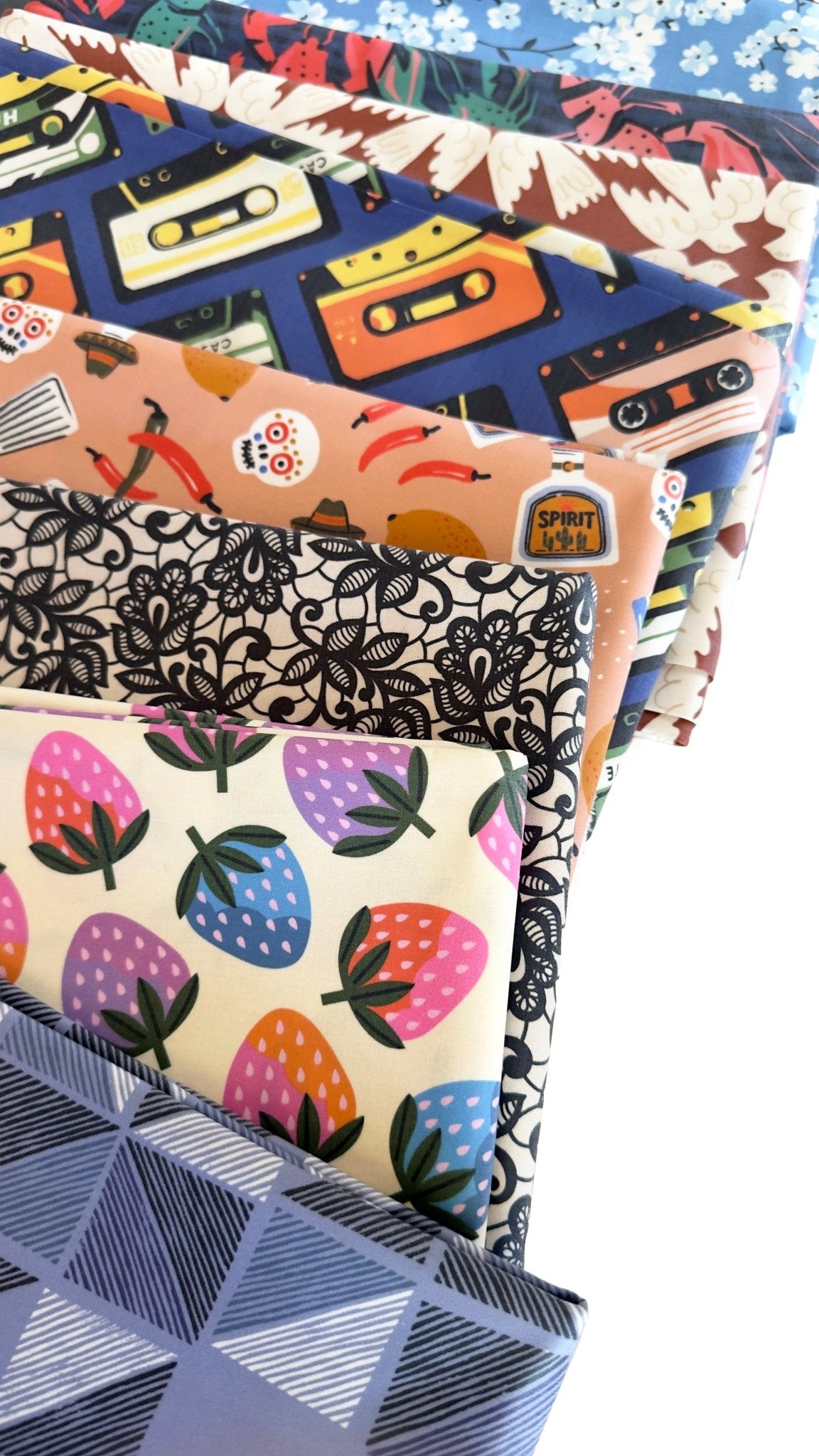 Skyward - Tanya Celia - Laminated Collective -Cloud9 Fabrics - Simplifi Fabric