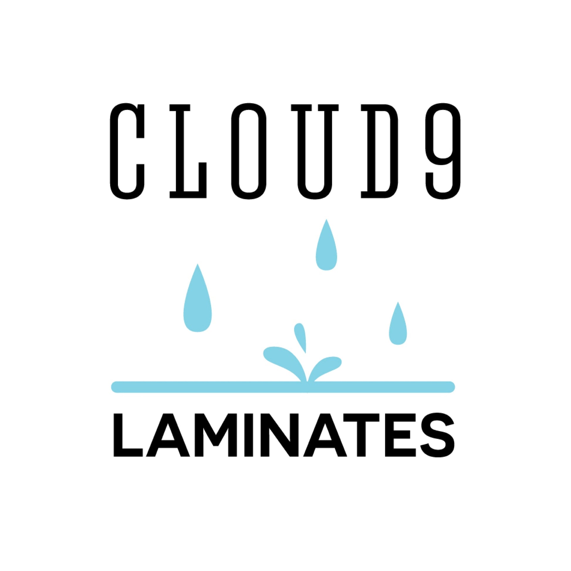 Skyward - Tanya Celia - Laminated Collective -Cloud9 Fabrics - Simplifi Fabric