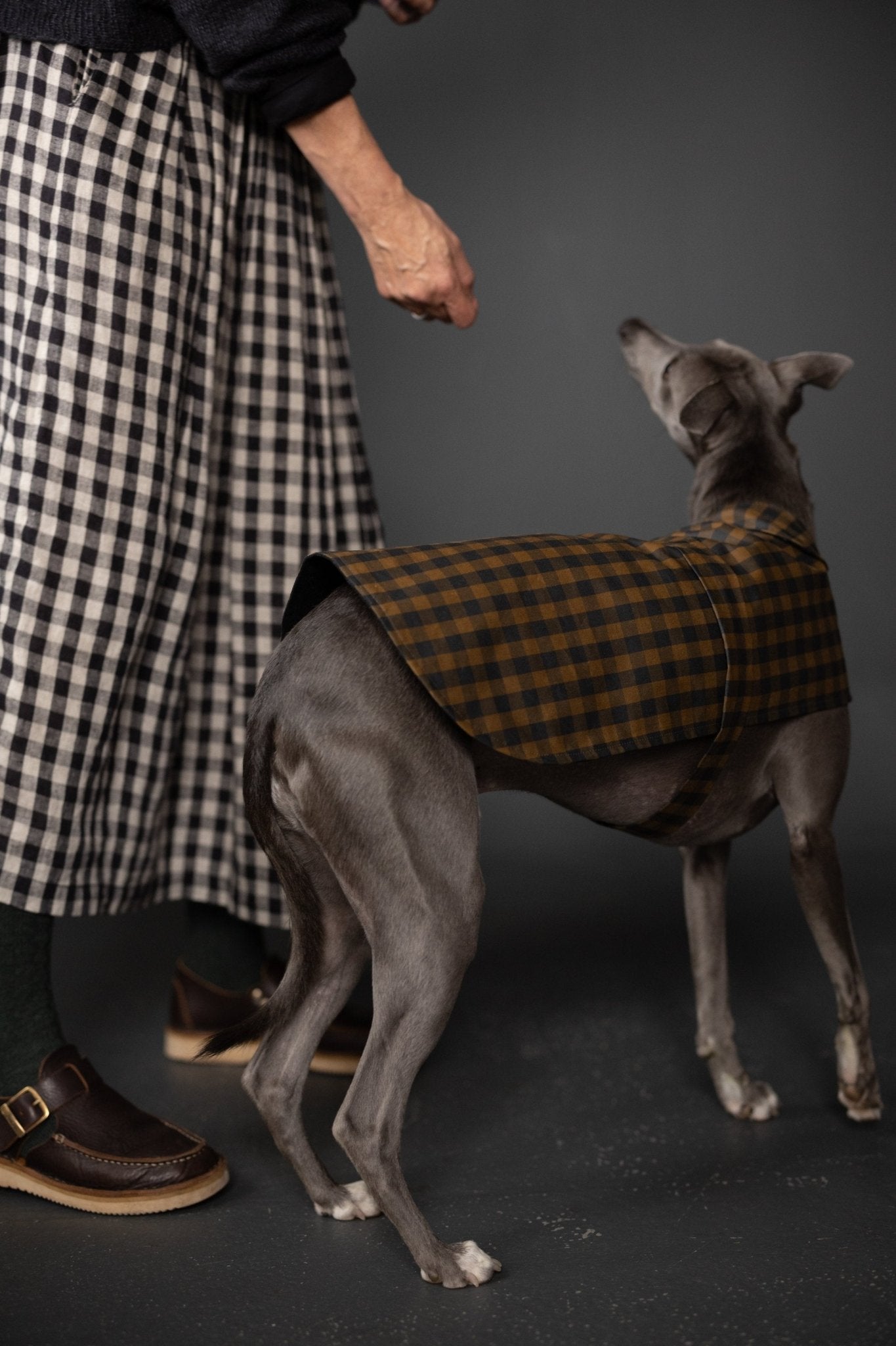 The Barka Dog Coat PDF Pattern - Merchant & Mills - Simplifi Fabric