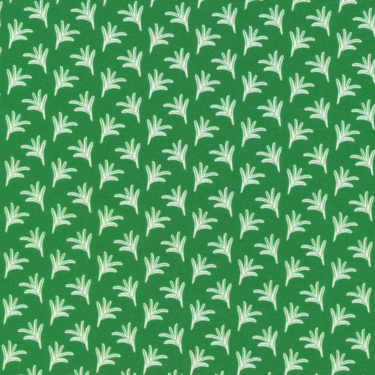 Foliage - Jungle Dreams - Beck Ng - Cloud 9 Fabrics - Poplin