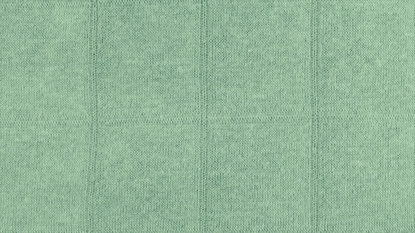 Double Gauze Jersey - European Import - Old Green