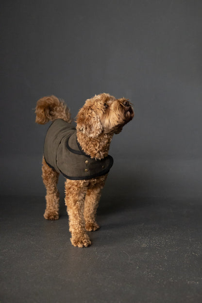 The Barka Dog Coat PDF Pattern - Merchant & Mills