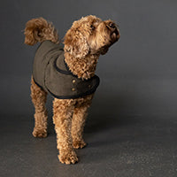 The Barka Dog Coat PDF Pattern - Merchant & Mills